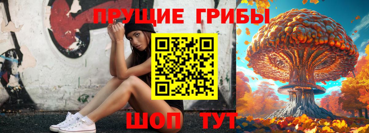 Тамбов  Галлюциногенные грибы прущие грибы  Вход с VPN  Псилоцибиновые грибы ЛСД 