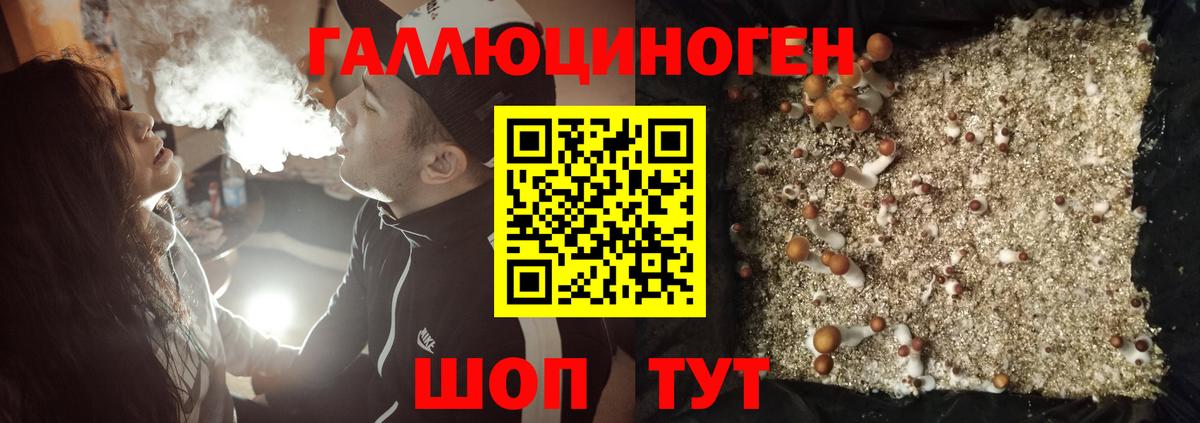 Галлюциногенные грибы прущие грибы Тамбов